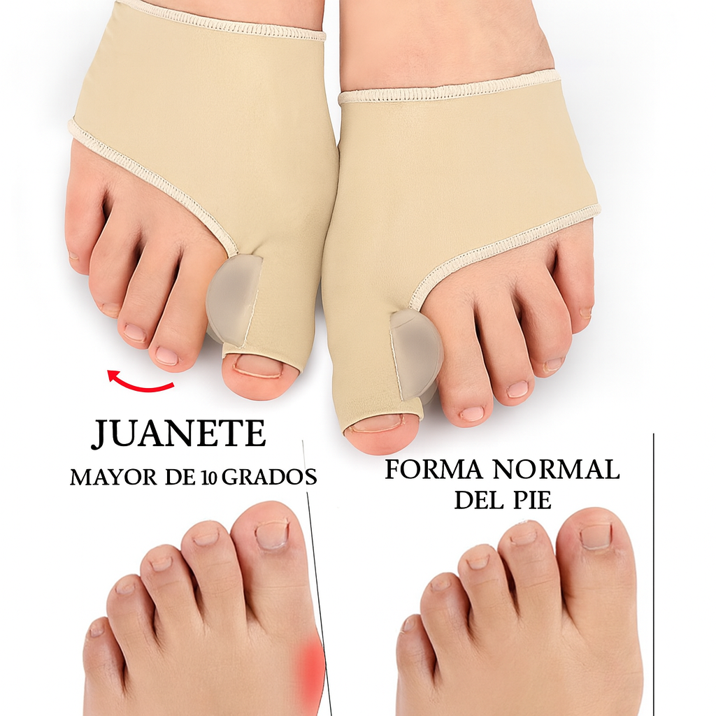 NaturalStep Corrector